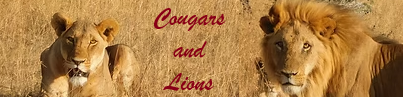 /images/theme/CougarsandLions/979c5ab3-2acb-4396-a765-3e0c2a3ccab4.png